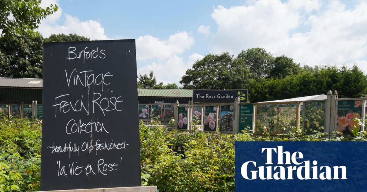 Burford garden centre: how did it become the UK’s hottest celebrity haunt?