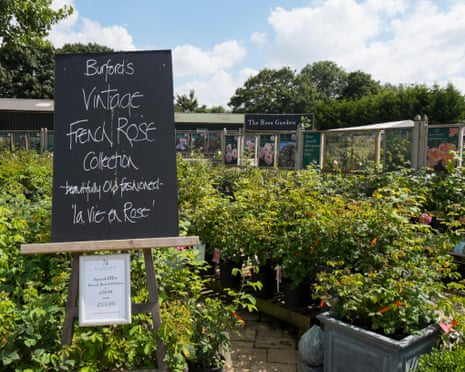 Plants and flowers on display at Burford Garden Company
