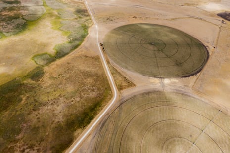 Irrigation circles from the air