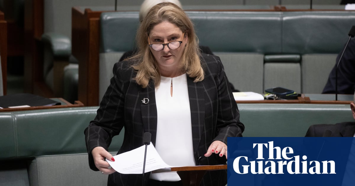 MP Rebekha Sharkie accused of 'bullying' former staffer in Fair Work case