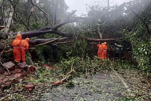 Goa, India: Trees felled by Cyclone Tauktae are cleared off a road in Margao.