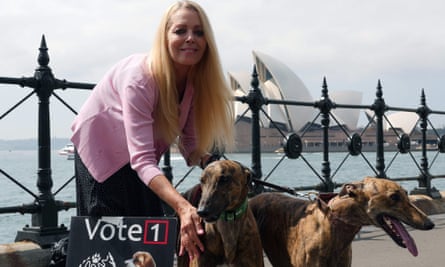 Arlo Greyhounds As Pets