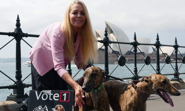 Australian animal rights activist Lynda Stoner with greyhounds at Sydney harbour. NSW will ban greyhound racing in 2017, meaning lots of dogs will need new homes.