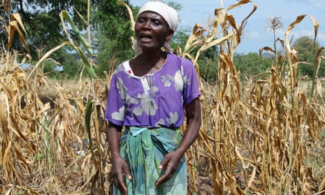 Farmer Serena Gadinala stands next to her wilted crops in the Neno district of southern Malawi. 