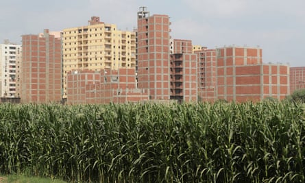 A view of illegal homes near fields in Banha city, north of Cairo, Egypt