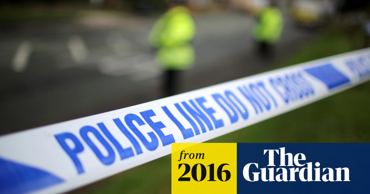 Two 12yearold boys arrested on suspicion of GBH UK news The Guardian