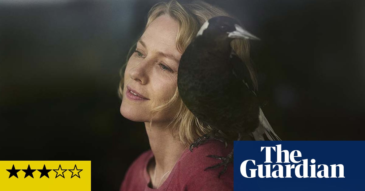 Penguin Bloom review – Naomi Watts saved by a magpie in charming drama