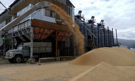 A Ukrainian grain terminal during barley harvesting in June
