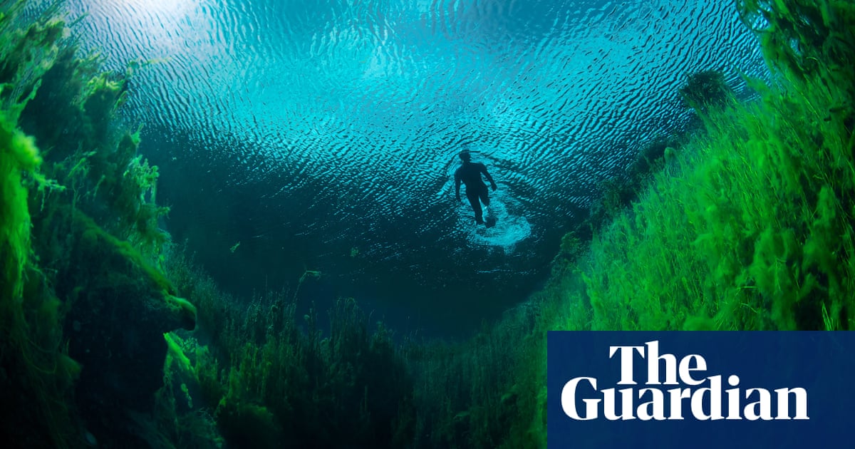 Protecting the Green Triangle: experts warn of ‘irreversible’ groundwater decline | Rural Australia Protecting the Green Triangle: experts warn of ‘irreversible’ groundwater decline | Rural Australia