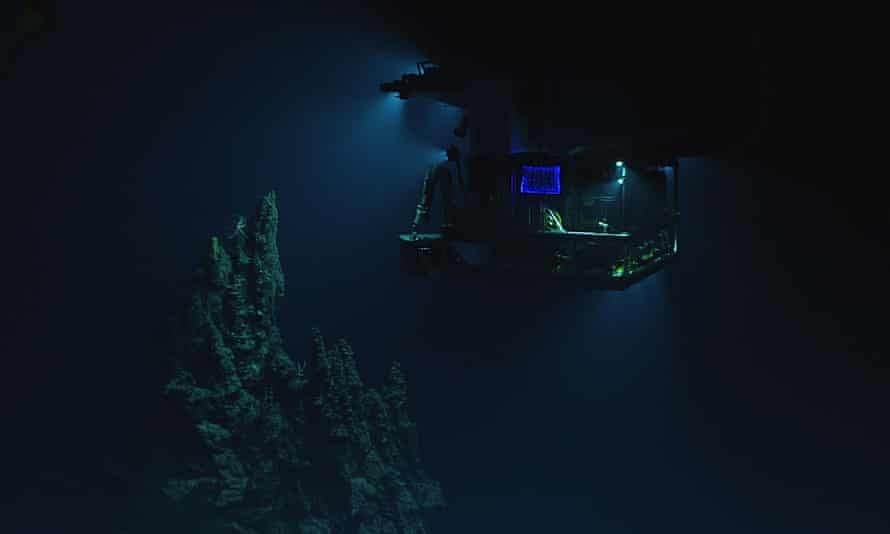 The new species was identified using the remote-controlled Deep Discoverer submersible.