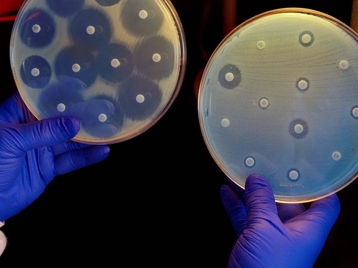 Powerful Antibiotic Discovered Using Machine Learning For First Time Antibiotics The Guardian Powerful Antibiotic Discovered Using Machine Learning For First Time Antibiotics The Guardian