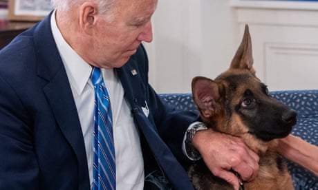 Joe Biden strokes his German shepherd dog, Commander
