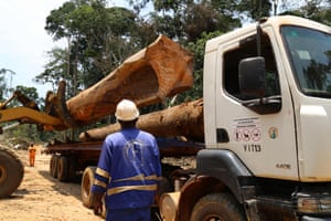 Logging