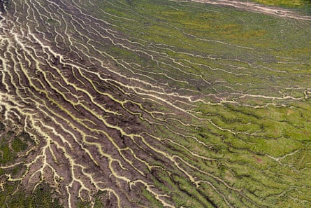 Channels of water spread throughout the Goyder Lagoon