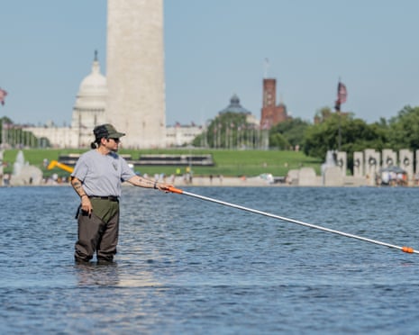 Trump states, 'Work will begin immediately on fixing the seriously vandalized Reflecting Pool'; five arrested for vandalism.