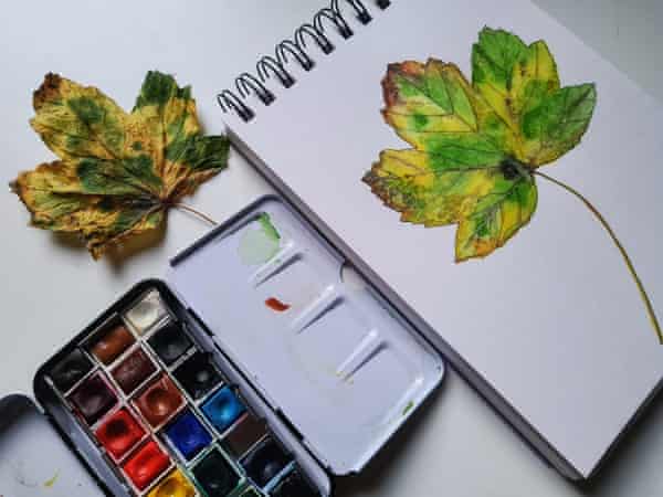 Still life of a leaf with watercolours