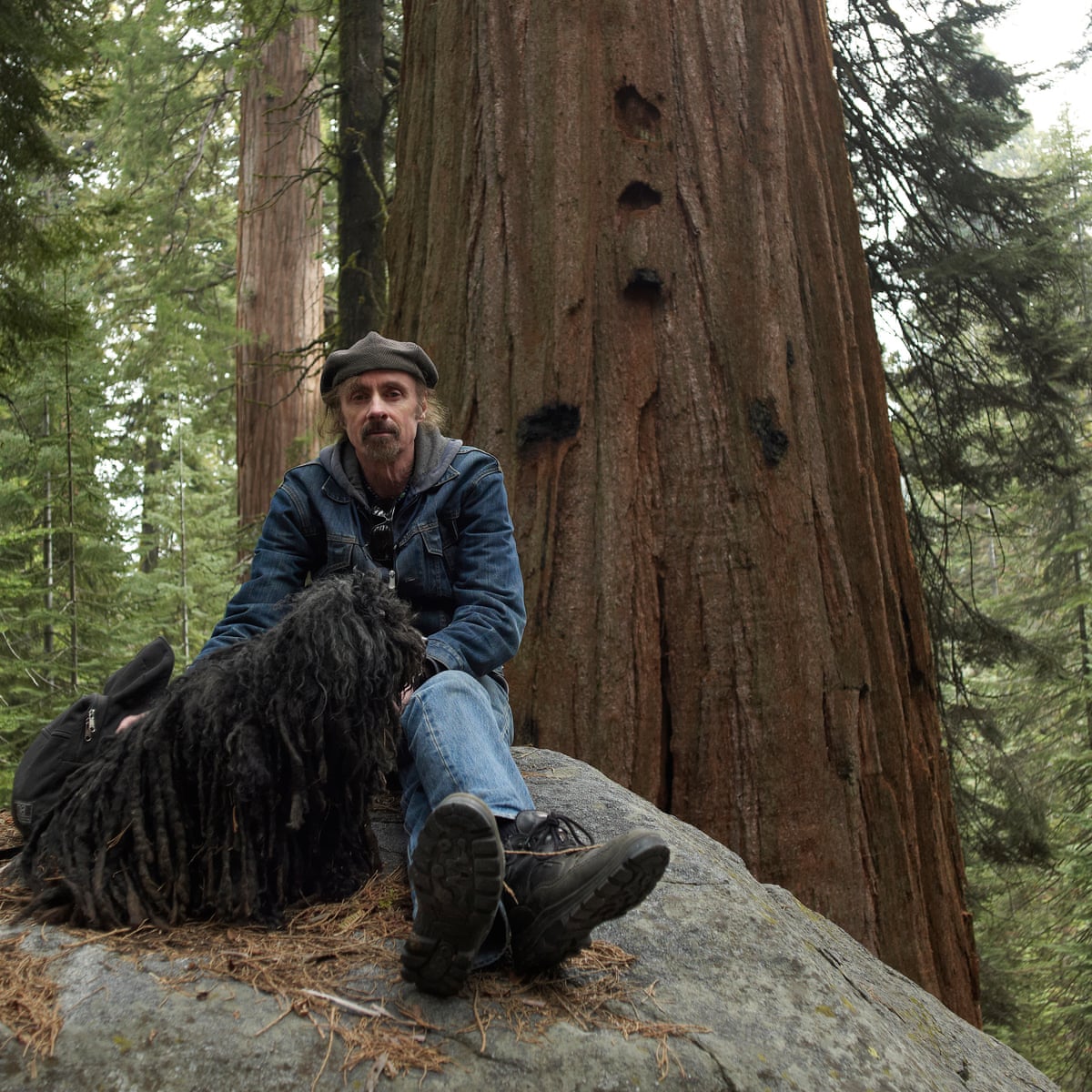 The Wild West Of My Dreams California S Sequoia National Forest