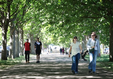 People walking on a tree-lined avenue in dappled sunshine.