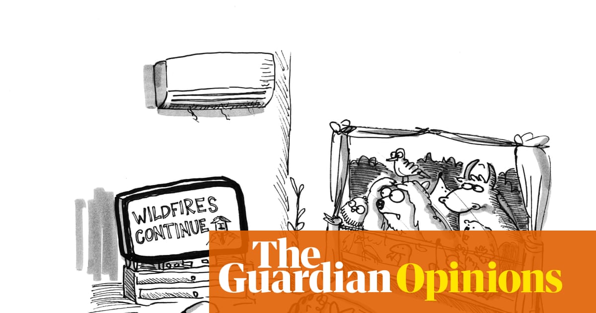 Christopher Harry on a summer of devastating wildfires – cartoon