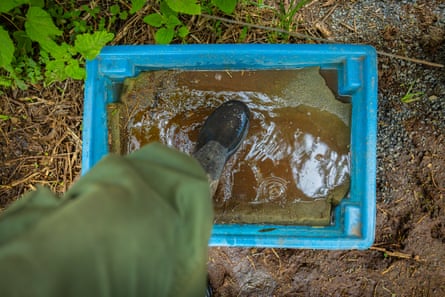 A person places their foot in a container to disinfect it.