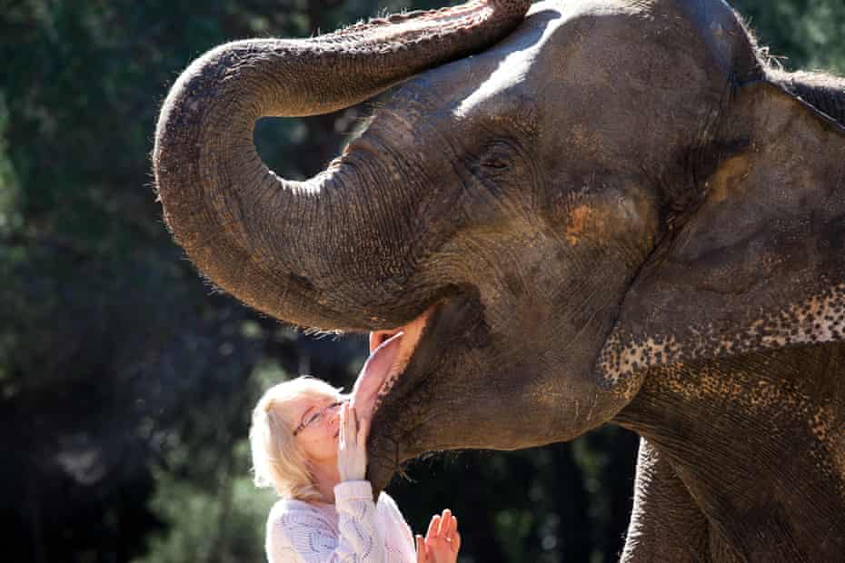 Yvonne Kruse with Dumba at their former home in Caldes de Montbui, north of Barcelona.