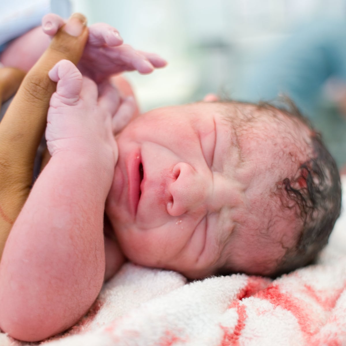 Taking A Baby From Its Mother Is A Horrific Job For A Midwife Healthcare Network The Guardian Taking A Baby From Its Mother Is A Horrific Job For A Midwife Healthcare Network The Guardian