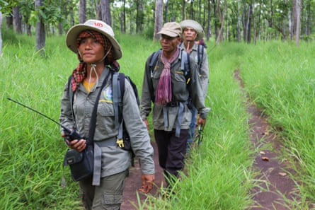 A woman and two men wearing uniforms walk through thigh-high grass