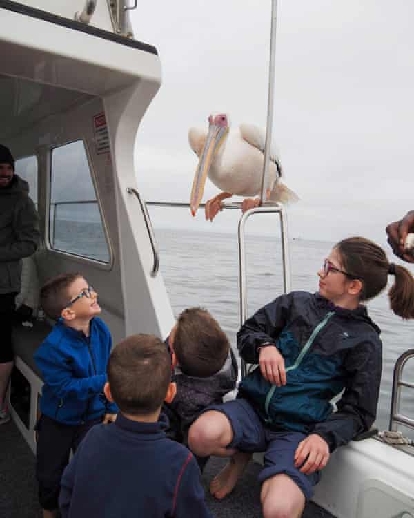 An encounter with a pelican.