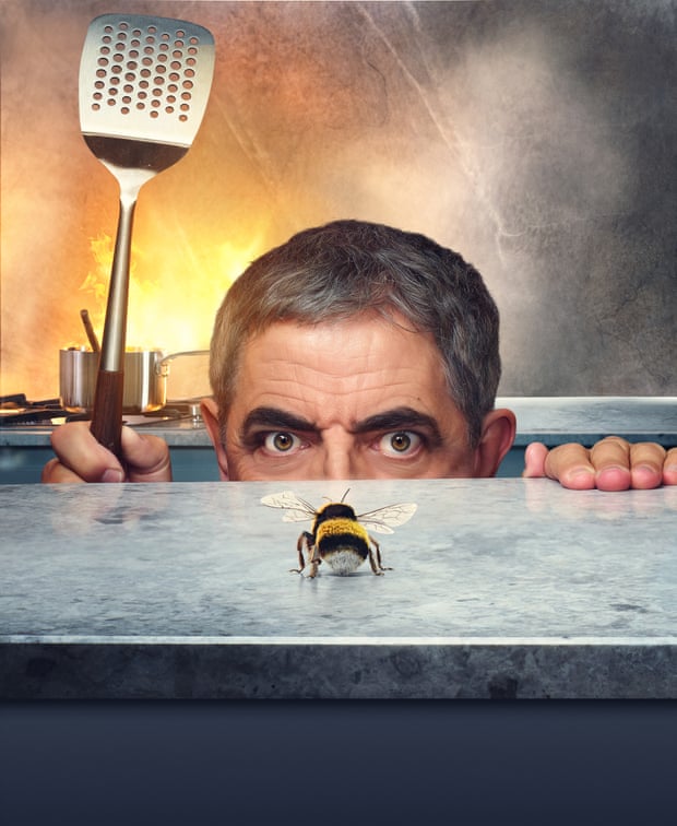 Rowan Atkinson in Man Vs Bee
