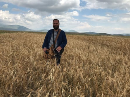 Dan Saladino in a Turkish wheatfield.