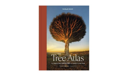 The Tree Atlas, £35. lonelyplanet.com