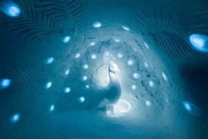 Icehotel December 2015: Show Me What You Got by Tjåsa Gusfors and David Andrén