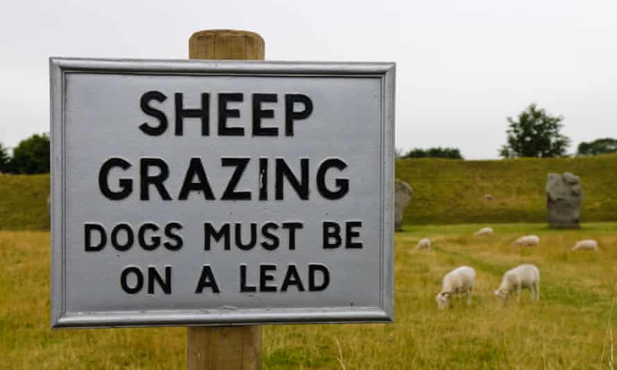 Sign warning public to keep dogs on a lead as sheep are grazing