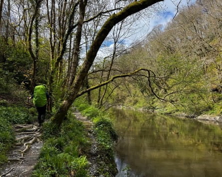 Gorge between Llechryd and Cilgerran
