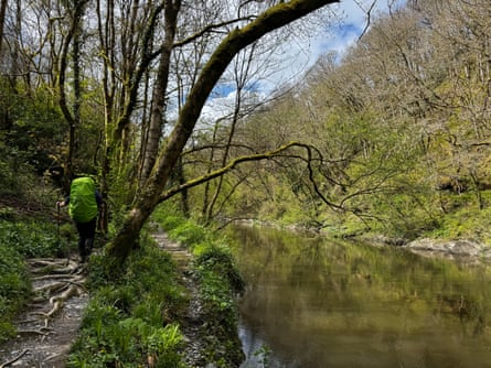 Woman with backpack walking by trees and river.