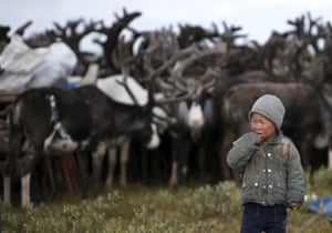 A young boy looks at the reindeer