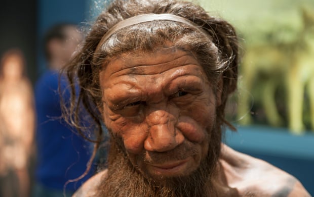 A model of a Neanderthal man at the Natural History Museum in London