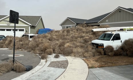 Tumbleweed piles up in front of houses, in Eagle Mountain, Utah