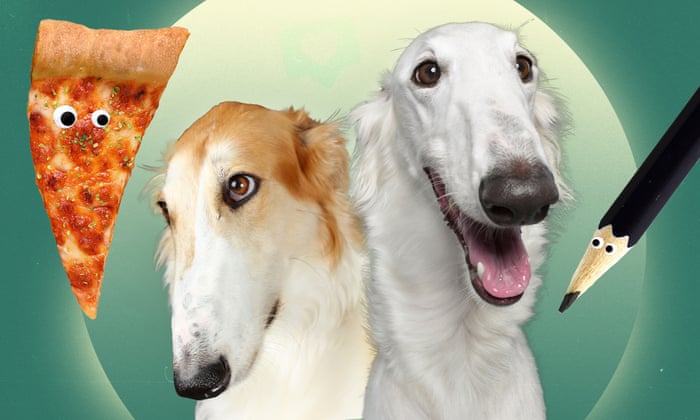 Why Is Tiktok Obsessed With Dogs That Look Like Pizza Slices And Why Is That Making Me Sad Tiktok The Guardian Why Is Tiktok Obsessed With Dogs That Look Like Pizza Slices And Why Is That Making Me Sad Tiktok The Guardian