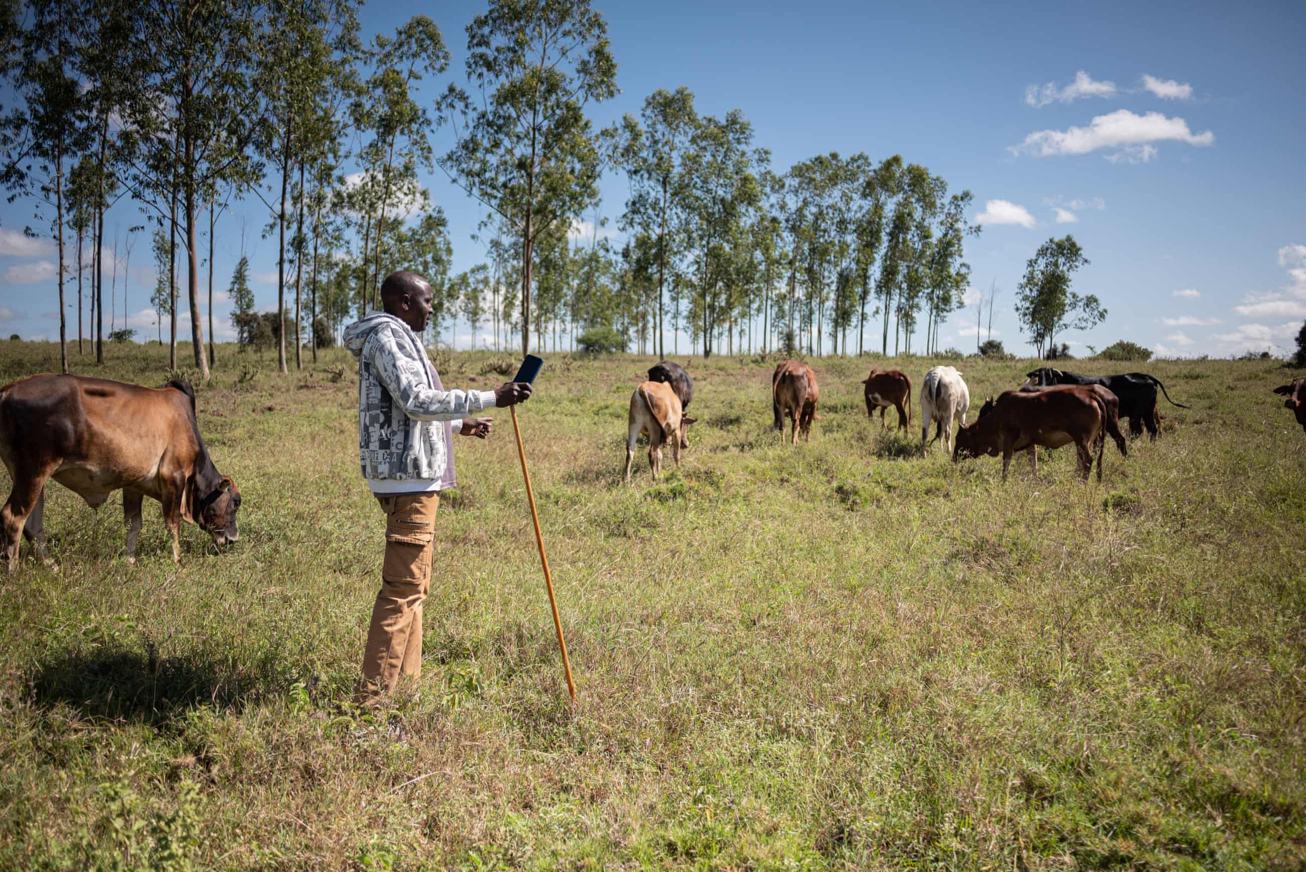 Nairobi’s lions are almost encircled by the city. A Maasai community offers a key corridor out
