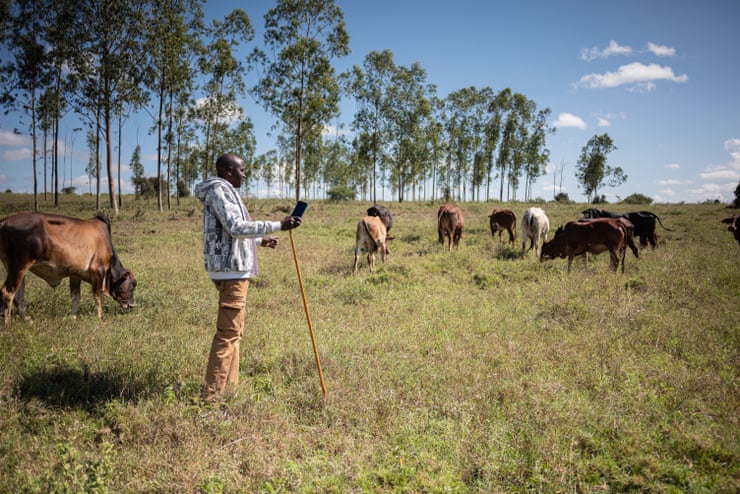 Nairobi’s lions are almost encircled by the city. A Maasai community offers a key corridor out Nairobi’s lions are almost encircled by the city. A Maasai community offers a key corridor out