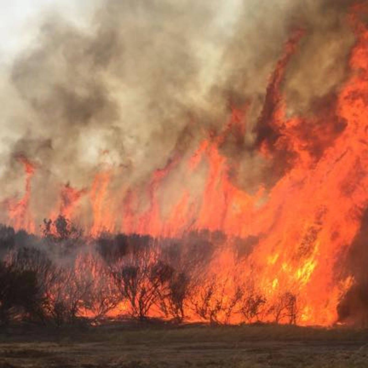 Esperance bushfires: victims were 'relatively young', minister says – as it  happened | Western Australia | The Guardian