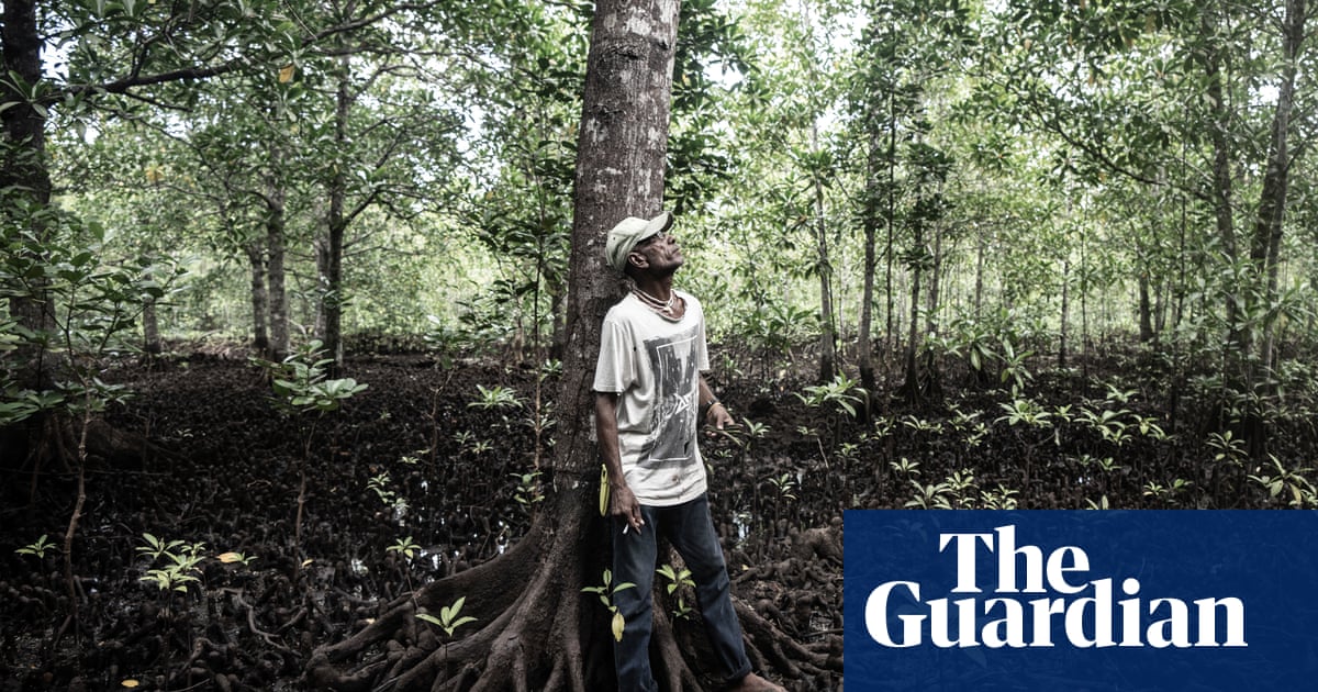 I couldn't watch the forests vanish': the man restoring Solomon Islands' vital mangroves