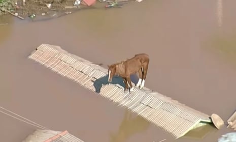 Brazil floods: horse stranded on roof is rescued as death toll rises to 107 people | Brazil | The Guardian
