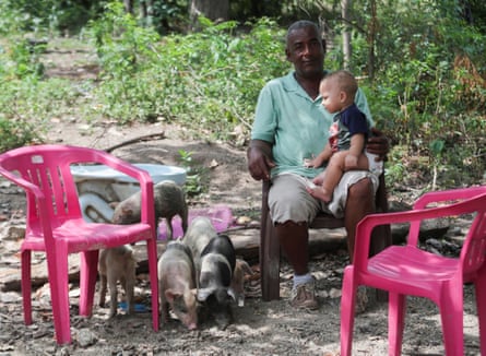 A man rests with a baby, next to a herd of piglets