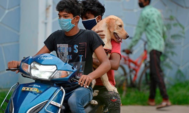 Pet owners carry their dog for its vaccination at a government veterinary hospital in Hyderabad on World Zoonoses Day on 6 July 2020.