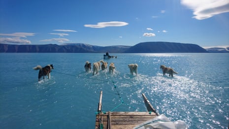 Huskies pulling a sledge through the water from melted ice in Greenland 