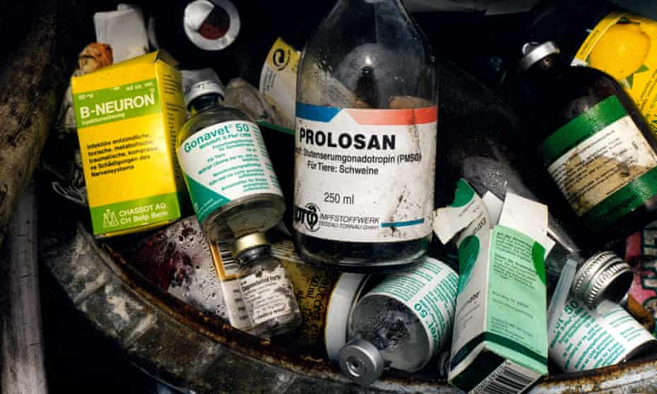 Dustbin in a pig-fattening farm full of empty antibiotic and hormone bottles, Germany.