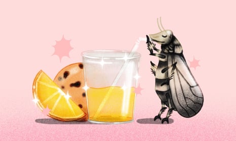 different bug juice brands｜TikTok Search