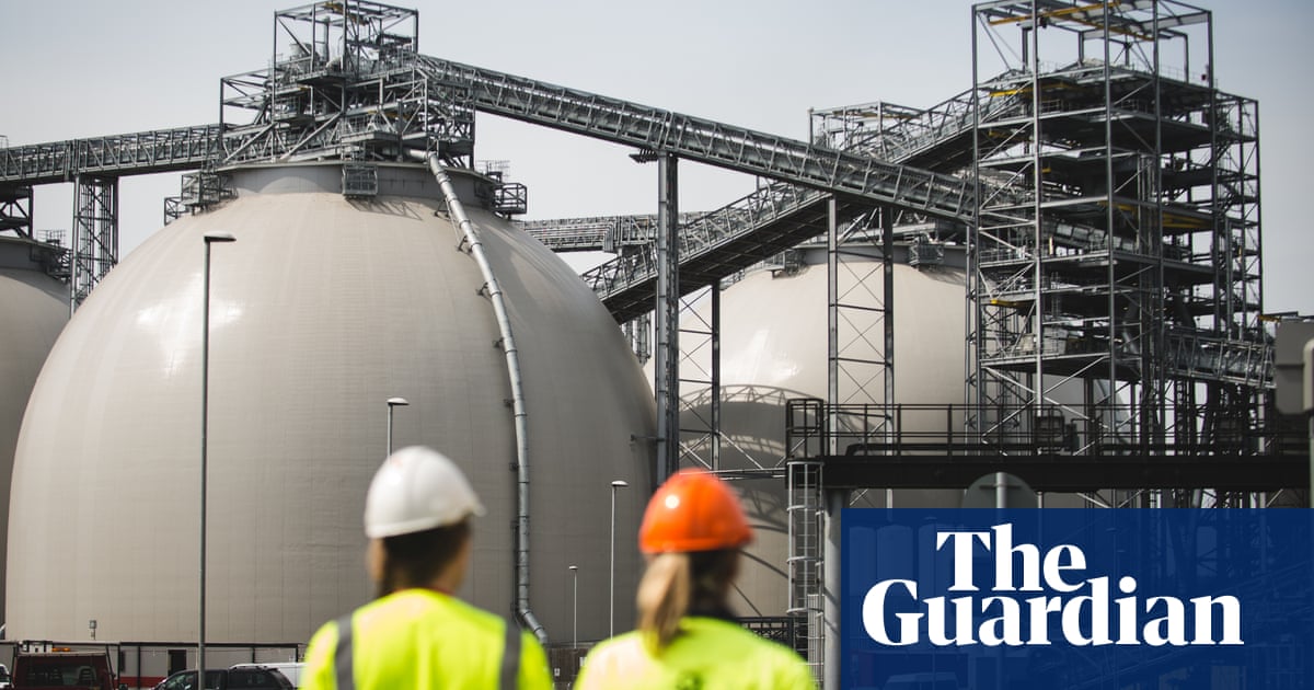 Green groups dispute power station claim that biomass is carbon-neutral